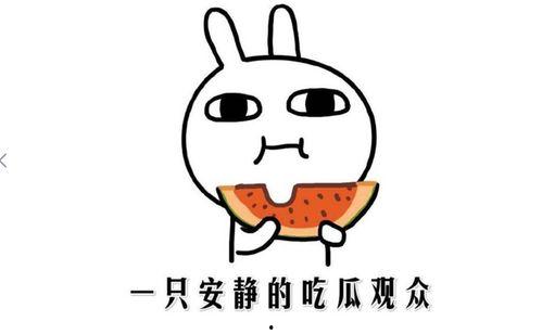 吃瓜词由来,网络热词的演变与影响力