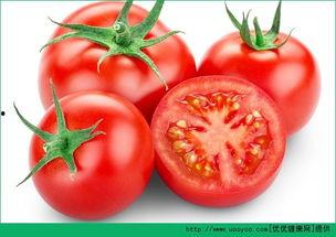 喂瓜宝吃番茄,亲子美食时光的美好回忆