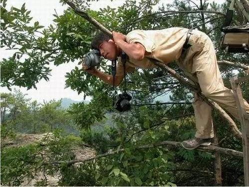 树下吃瓜拍照姿势,创意拍照姿势大揭秘