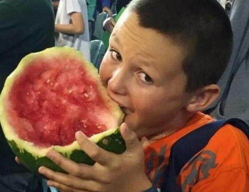 吃瓜带着皮,皮囊下的真相揭秘