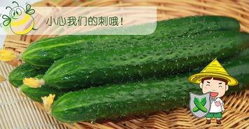 男配的吃瓜,揭秘娱乐圈背后的秘密与真相